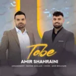 دانلود آهنگ تو یادگار قلبمی دورت بگردم از امیر شهرایینی