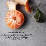 دانلود آهنگ آرش دادا ببین چه عسلی رو دیدم دانلود آهنگ آرش دادا ببین چه عسلی رو دیدم