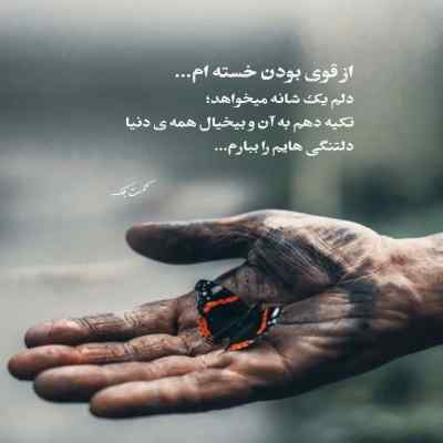 دانلود آهنگ بزن که سوز دل من به ساز میگویی