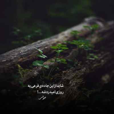دانلود آهنگ چرا همیشه اون که دوسش داری میره