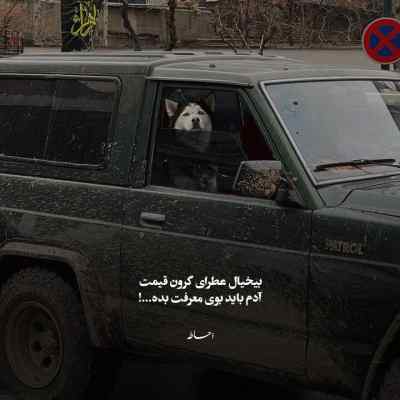 دانلود آهنگ دیگه دنبال آهو دویدن فایده نداره