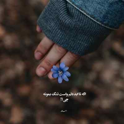 دانلود آهنگ دوباره لش رو کاناپه از تتلو