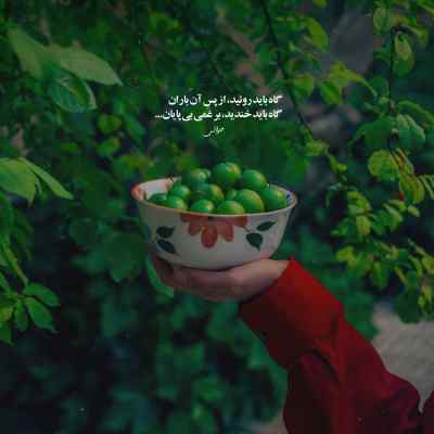 دانلود آهنگ دوست دارم زندگی رو خوب یا بد اگه آسون یا سخت نا امید نمیشم