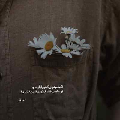 دانلود ریمیکس فرشید حکمتی علی برونش