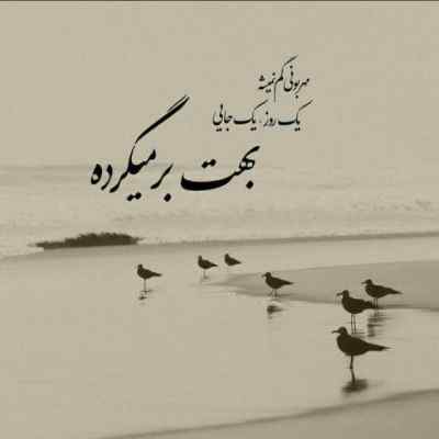 دانلود آهنگ قند روزای تلخی بوی ریحونی
