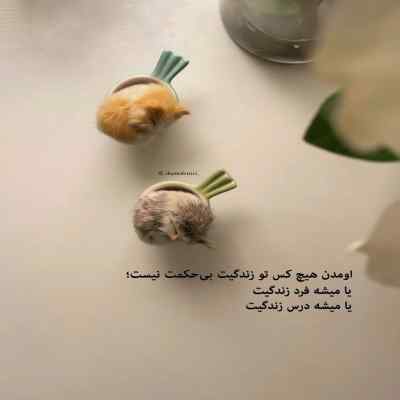 دانلود آهنگ لیلای مرا میبرند ای کوچه ها کاری کنید
