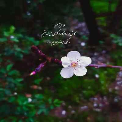 دانلود آهنگ مرا عهدیست با جانان