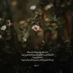 دانلود آهنگ میلاد بابایی جنگ اعصاب