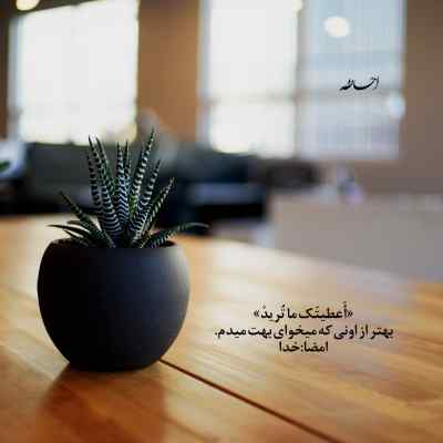 دانلود آهنگ زلف یار سعید محمدی