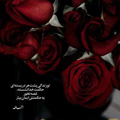دانلود آهنگ سر زنگ هندسه میگم این درسا بسه هاتف