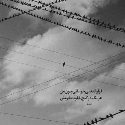 دانلود آهنگ شال اون شال سرخ تو با صدای زن