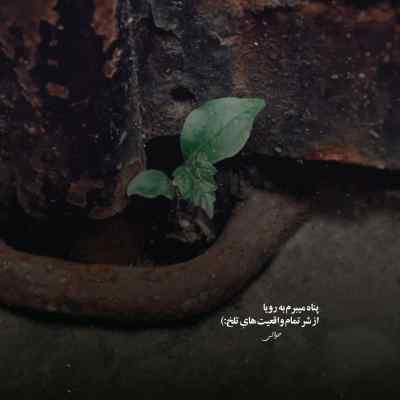 دانلود آهنگ او له له له اسپانیایی