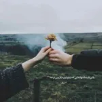دانلود آهنگ تاک داون آووکادو دانلود آهنگ تاک داون آووکادو