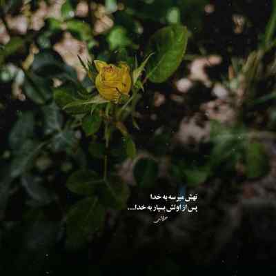 دانلود آهنگ تورو دیدم خدا خندید من از عشق تو هز کردم