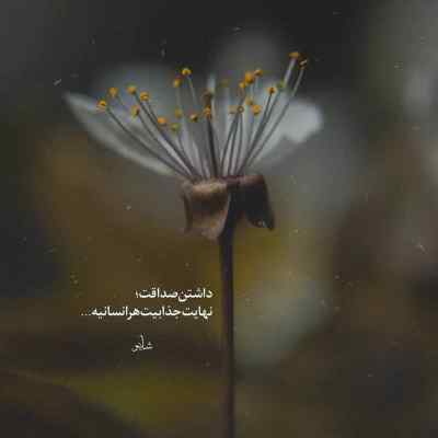 دانلود آهنگ اگه آفتاب تو چشات خونه کنه با صدای زن