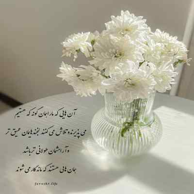 دانلود آهنگ داریوش به من نگو دوست دارم که باورم نمیشه