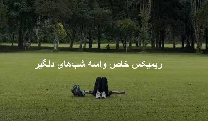 ریمیکس دشت پروانه ها