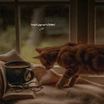 دانلود آهنگ اگه راستشو بخوای همه چی ریخته به هم