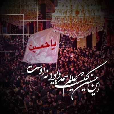 دانلود مداحی اگه یه کبوتر بودم از میثم مطیعی