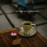 دانلود آهنگ احمد سعیدی نازنینم به تنت چه قشنگه این لباس