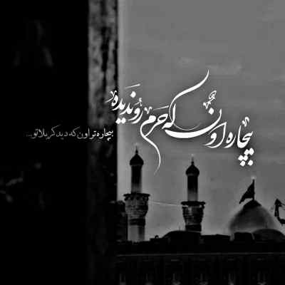 دانلود مداحی عمه این کیه رو نیزه قرآن میخونه محمدحسین شفیعی