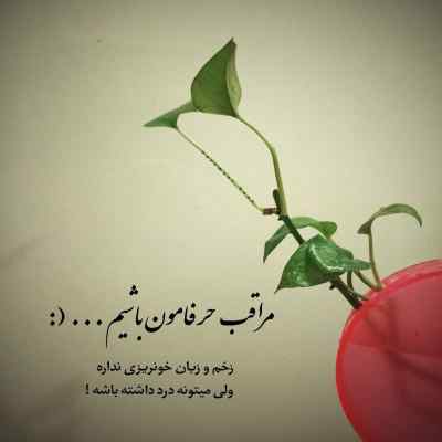 دانلود آهنگ برام هیچ حسی شبیه تو نیست با صدای زن