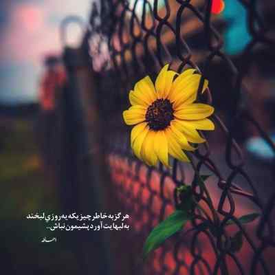 دانلود آهنگ دلبر چه نامرده این دل پره درده