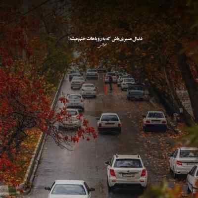 دانلود آهنگ دلبر من تو عشق ناب منی مصطفی ابراهیمی
