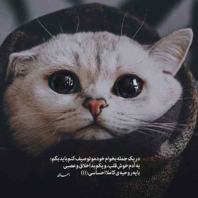 دانلود آهنگ همیشه مال من عشق من تو باشیا با صدای زن