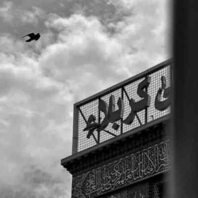 دانلود مداحی این روزا عطر اقاقیا میخوام تلخی چای عراقی رو میخوام