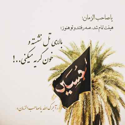دانلود مداحی لایی لایی اصغر نوباوه ی حیدر ای غنچه ی ناز باغ پیغمبر