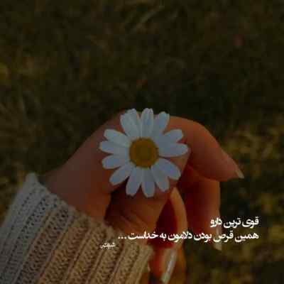 دانلود آهنگ صد دفعه بخشیدمت این دفعه آخره