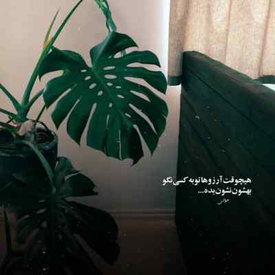 دانلود آهنگ تو امنی برام حتی بدون الف