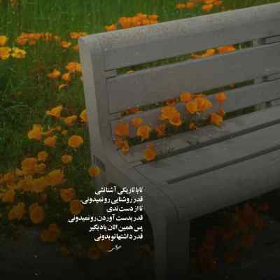 دانلود آهنگ تو یه دخترک عقده ای ندید بدیدی