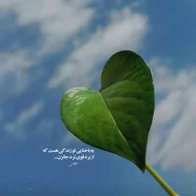دانلود آهنگ دروغ دوست داشتنی