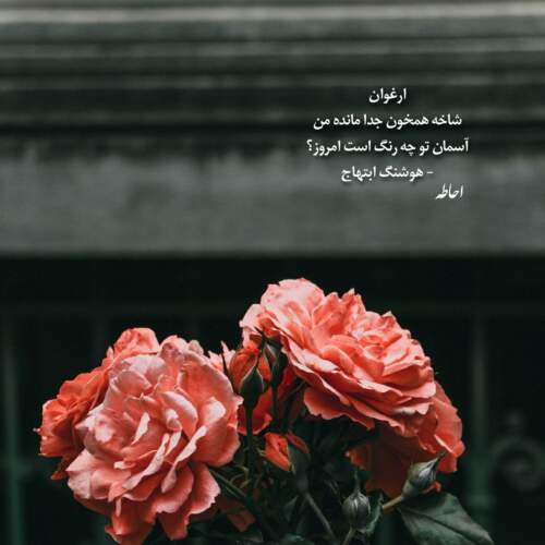 دانلود آهنگ اوات بوکانی ارهو ارهو ریمیکس اینستا