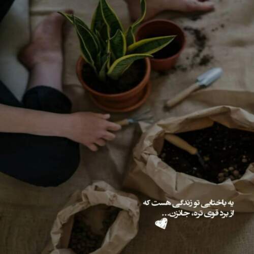 دانلود آهنگ دیدم توی نگاه عشقتو