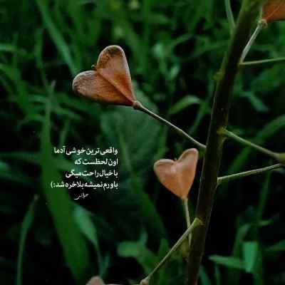 دانلود آهنگ الهی در شب فقرم بسوزان