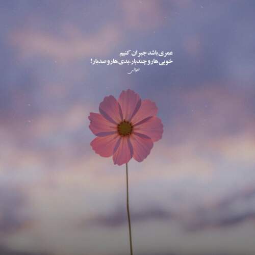 دانلود آهنگ امشب شب شادی و شوره