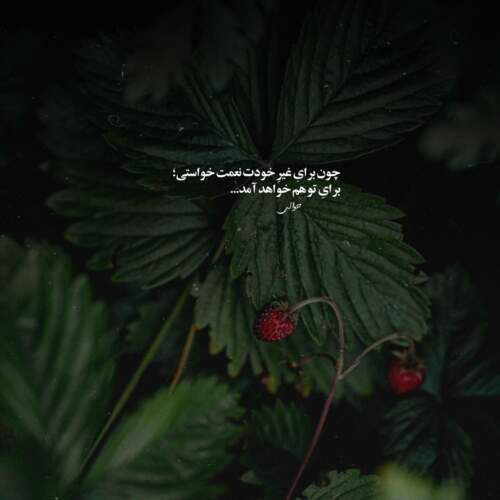 دانلود آهنگ امشبو فید شیم توی عشقت غیب شیم