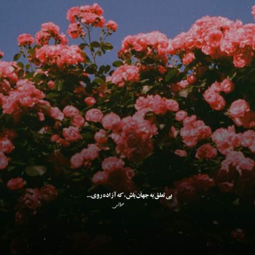 دانلود آهنگ عشقم نفس از ته دل دوست دارم