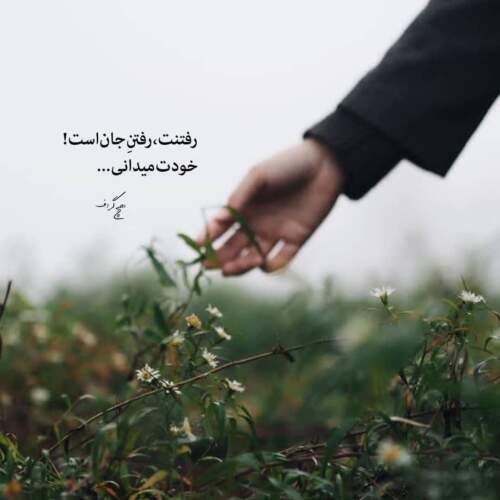 دانلود آهنگ غریبی کشیدم نبودی از فرهاد جهانگیری