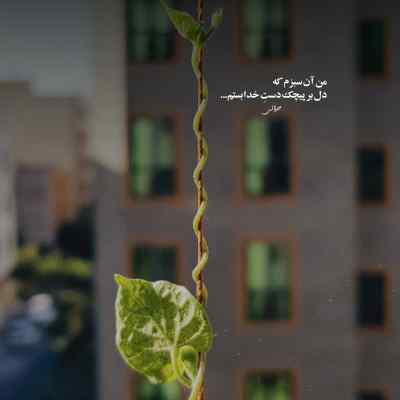 دانلود آهنگ هی میگیره قلبمو شده