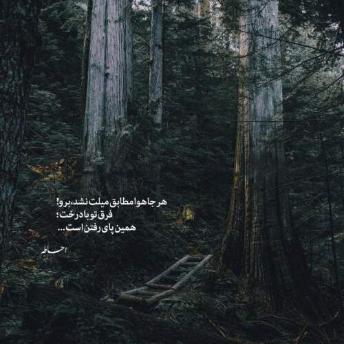 دانلود آهنگ این تو بمیری از اون تو بمیریا نیست