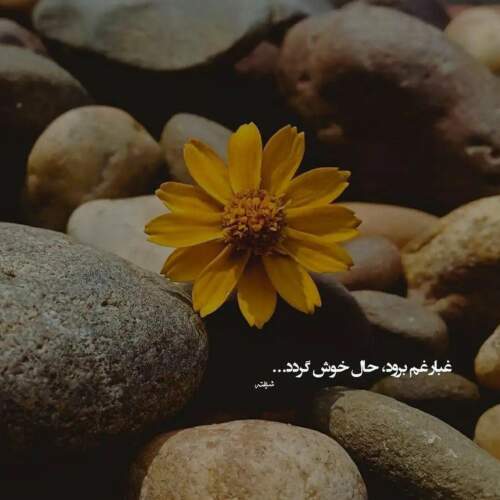 دانلود آهنگ جینگ و جینگ ساز میاد محمد نوری