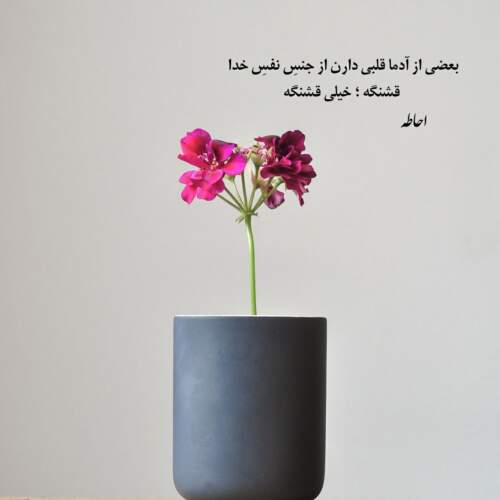 دانلود آهنگ کم د دنیا دلم زخم نهرده مجید عزیزی