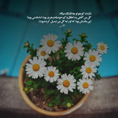 دانلود آهنگ خدارو چه دیدی علیرضا قربانی