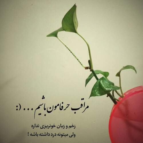 دانلود آهنگ محمدرضا شجریان ساز و آواز