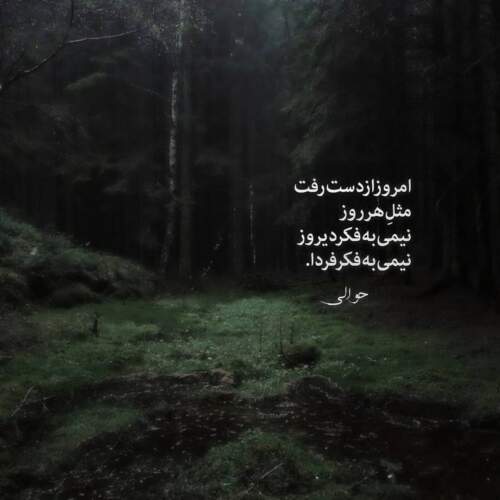 دانلود آهنگ ترکی ناری ناری از رحیم شهریاری