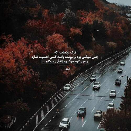 دانلود آهنگ نسترن با تو دل من توی گلخونه یاره